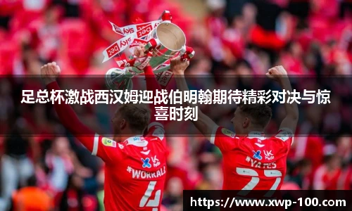 乐盈VI官网
